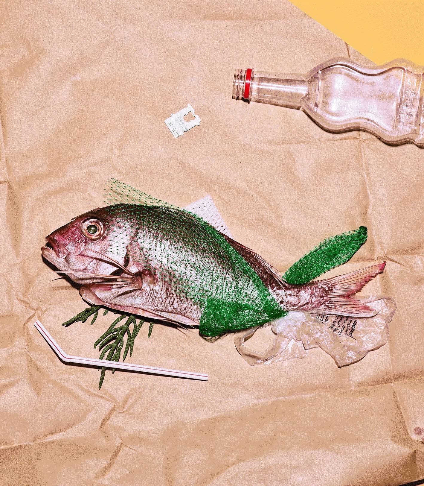 no thanks to plastic